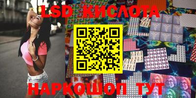стаф Берёзовский