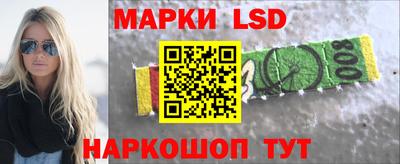 стаф Берёзовский