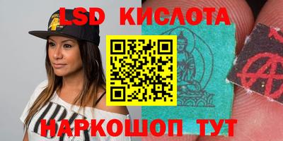 стаф Берёзовский