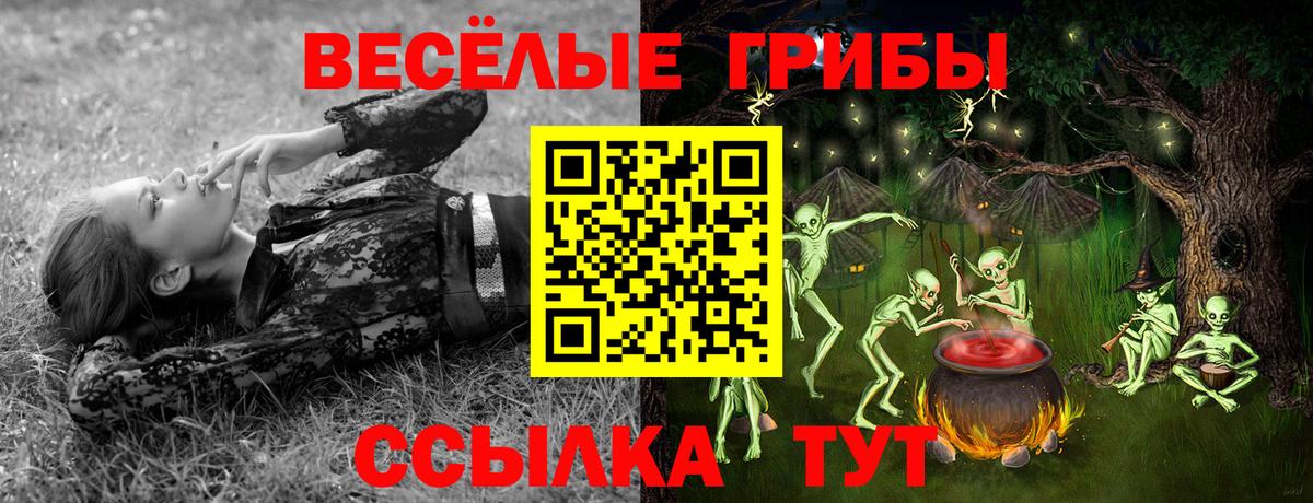 Галлюциногенные грибы Cubensis Ипатово